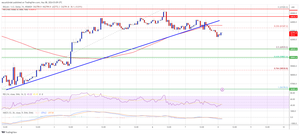 Bitcoin Price Dips Again, Is This A Fresh Bearish Signal?