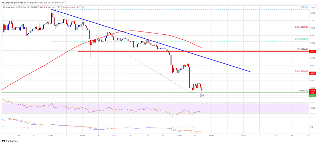 Altcoin Giant Trims Recent Gains, Can It Recover?