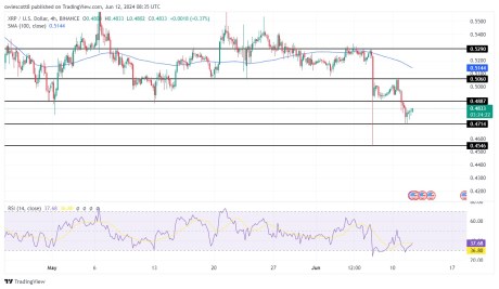 XRP Price Undergoes Brief Recovery