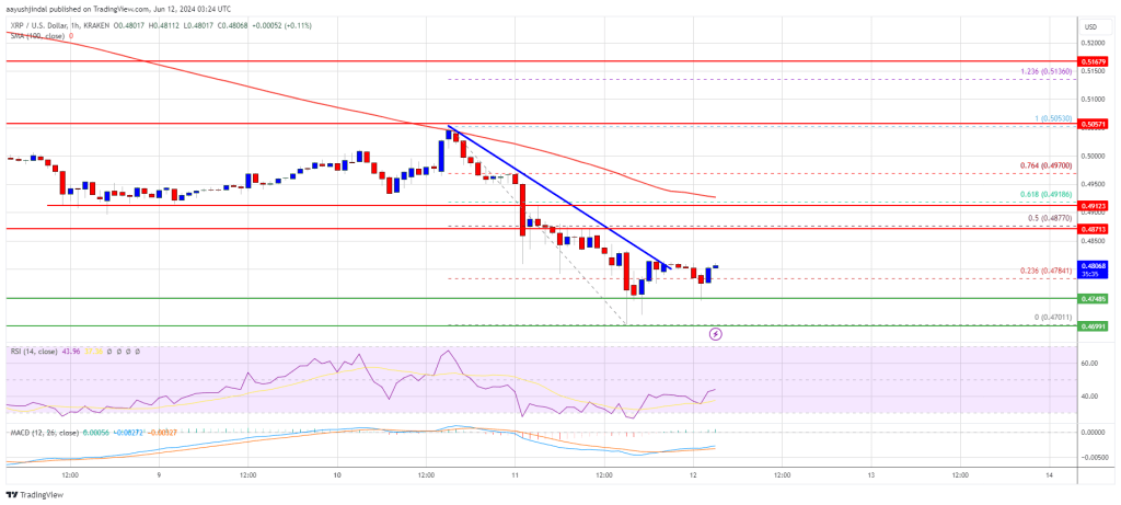 XRP Price Temporary Bounce: Recovery Might Not Last