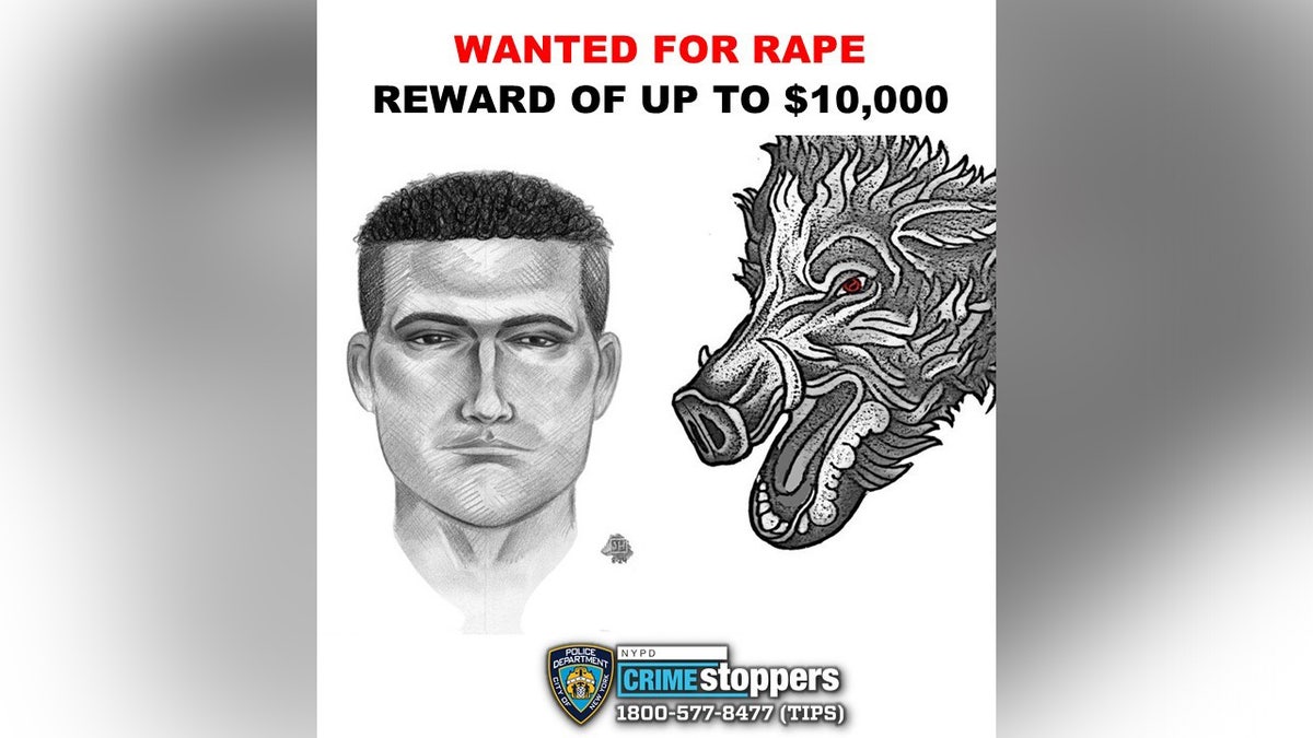 Hispanic male ‘forcibly’ rapes teen girl in broad daylight in NYC park