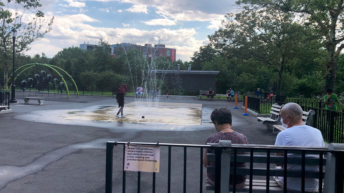 Hispanic male ‘forcibly’ rapes teen girl in broad daylight in NYC park