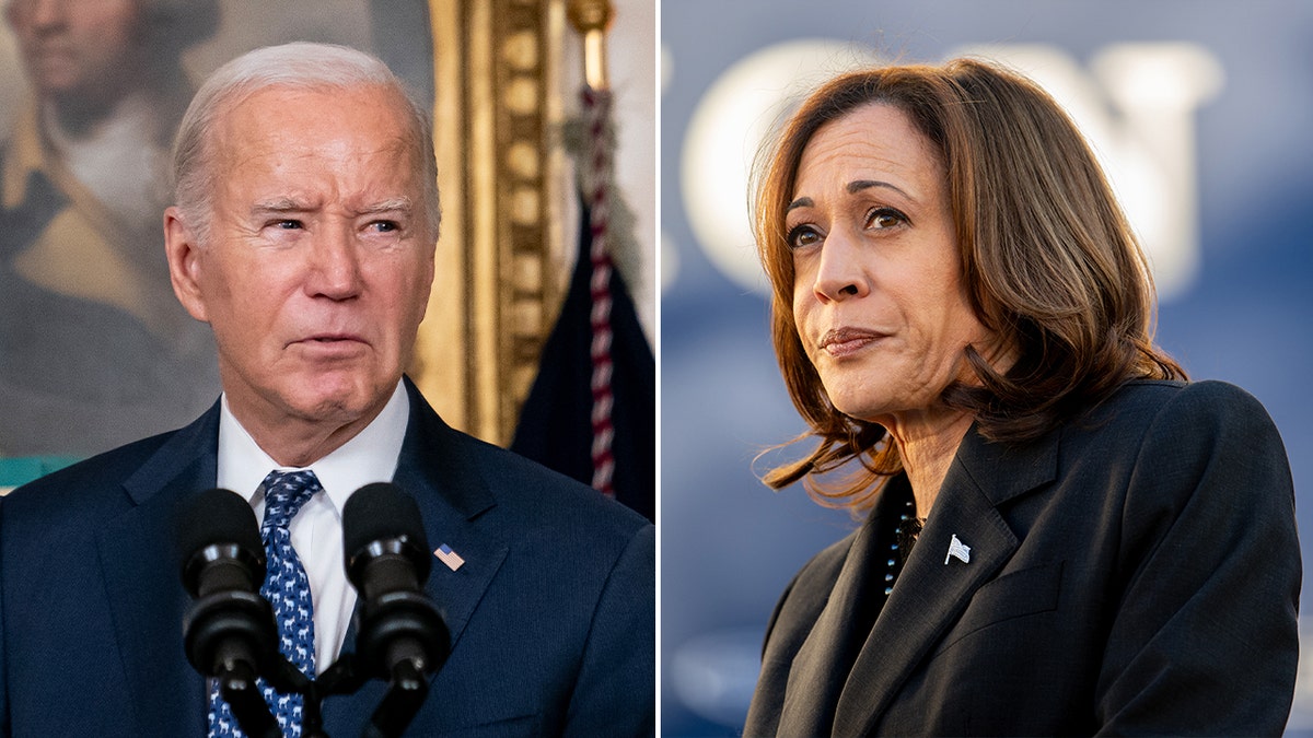 New Yorker article calls on Dems to use 25th Amendment to remove Biden: What it was ‘designed for’