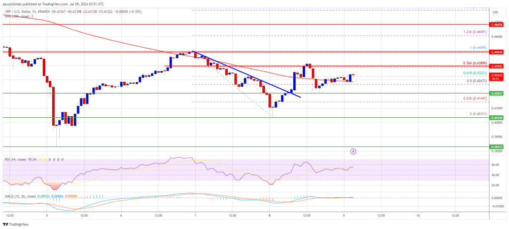 XRP Price Finds Relief: Will It Break Past $0.45 Amid Numerous Hurdles?