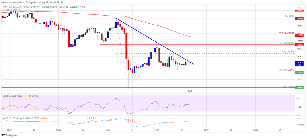 XRP Bulls Target New Gains: Will They Achieve a Breakout?