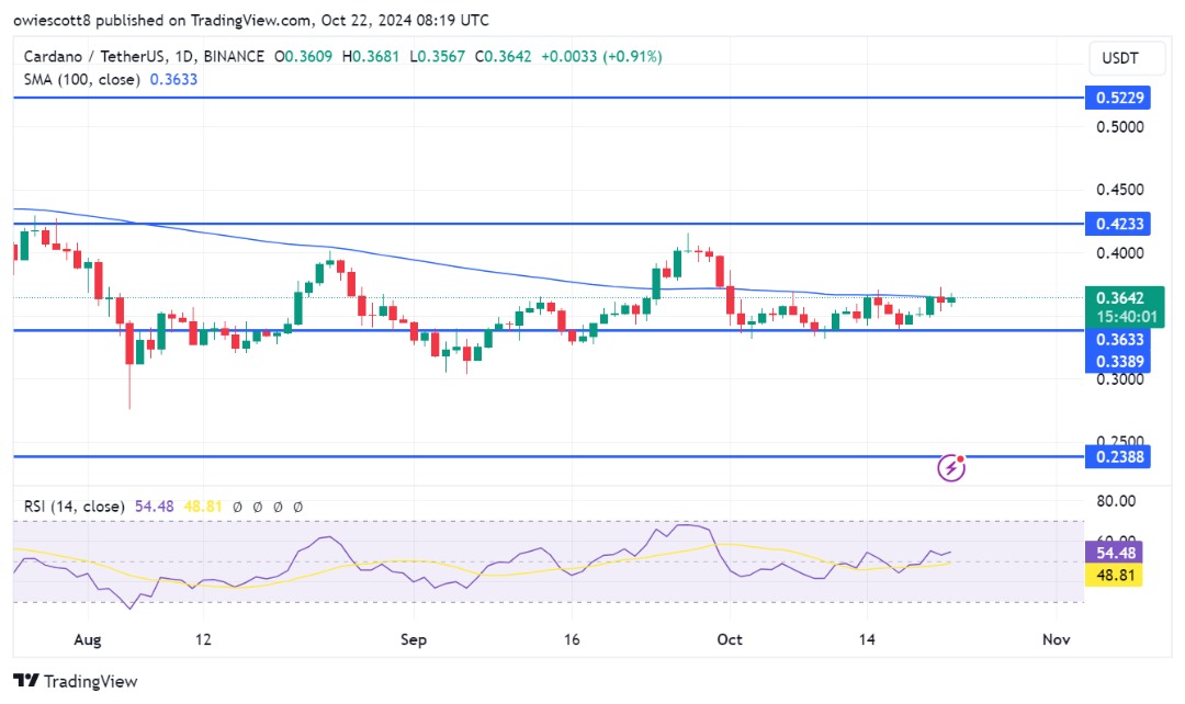 Cardano’s Pullback Short-Lived, Fresh Rally Underway For ADA?