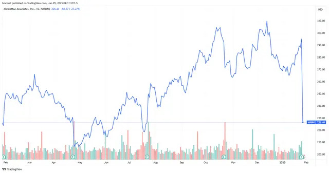 Manhattan Associates Stock Sinks on Profit Warning